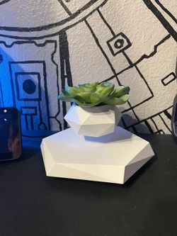 Floating Plant For your Desk