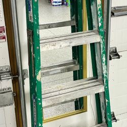 Werner Ladder 6’ 225 Lbs