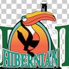 Hibernian