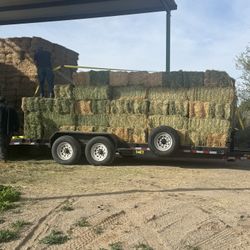 Clean 2 strand Alfalfa Hay