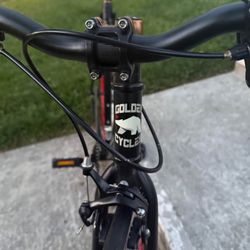 Golden Cycles  City Bike