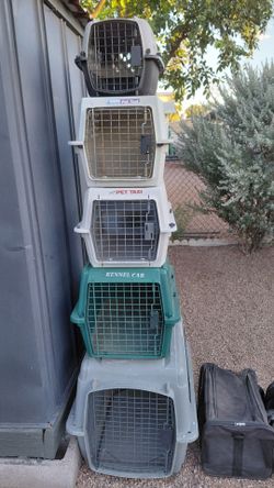 Kennels
