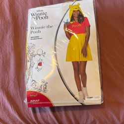 Winnie the pooh costume 