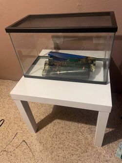 5 gallon fish tank and table