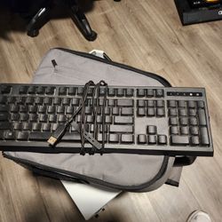 Ornata Chroma