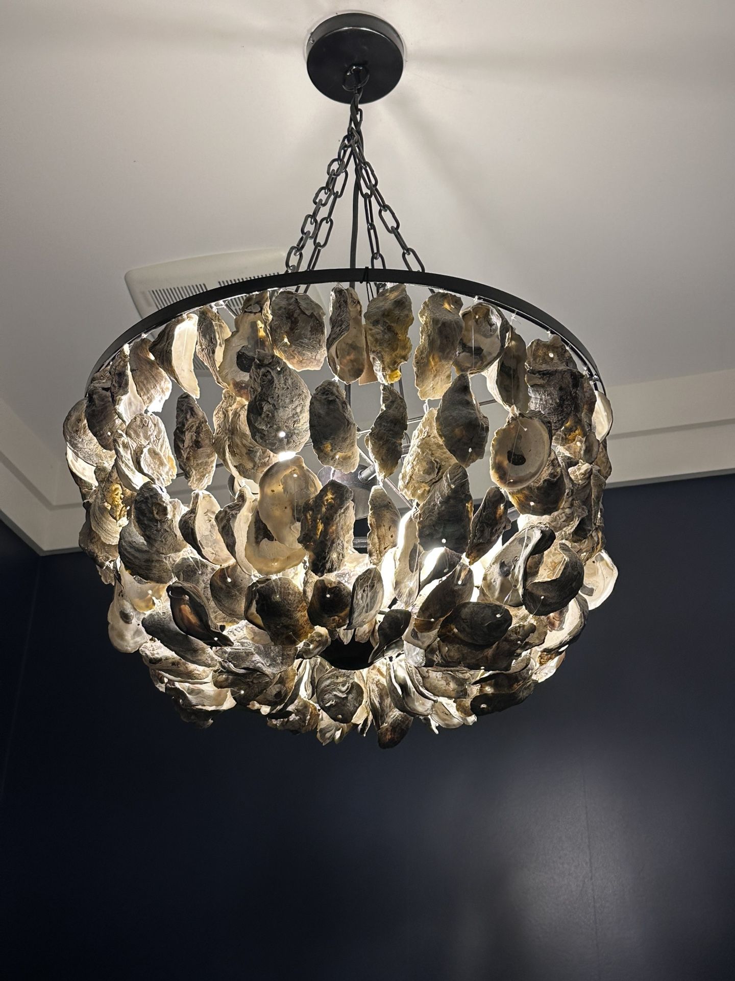 Oyster Chandelier