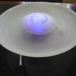 Misting Bowl Unique Changing Colors