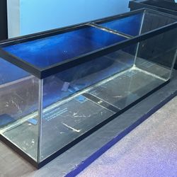 180 Gallon Fish Tank