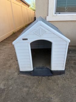 Large dog house