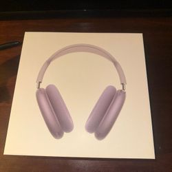2nd Gen Airpods Max Purple