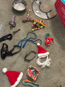 Everything needed for your dog