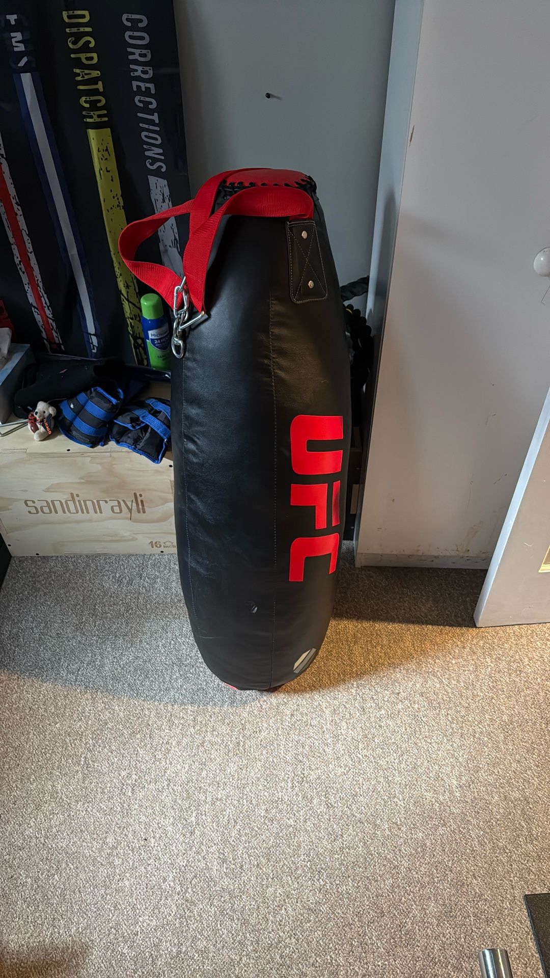 UFC Punching Bag 