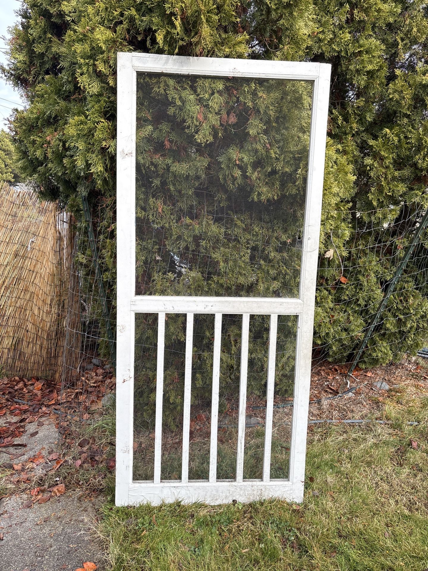 Front Screen Door 36”X81”