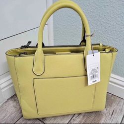 NWT! Beautiful Pistachio Color Purse