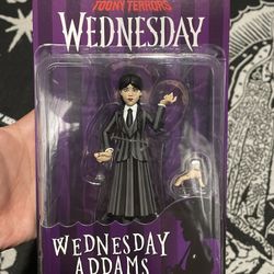Wednesday Neca Toy Collection Figure 