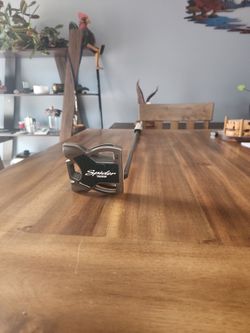 Taylor Made putter