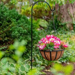 14 in. Metal English Hanging Coco Basket/planter