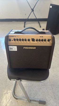 Fishman Loudbox Mini Amp