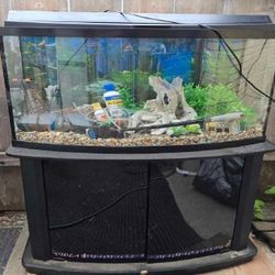 Complete Aquarium Kit – Discover an Underwater World situation western