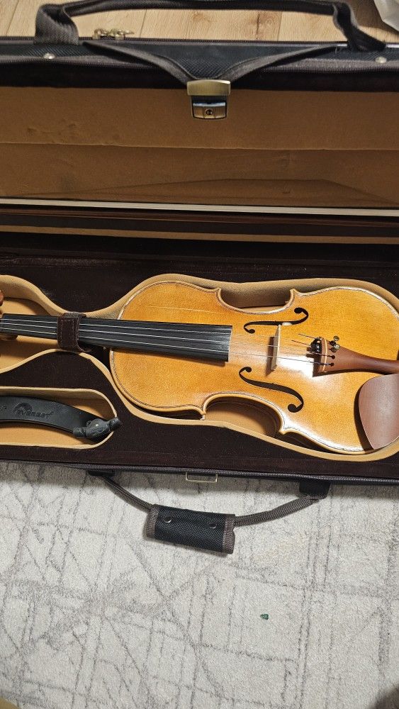 Violin