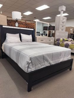 Queen Size Bed 