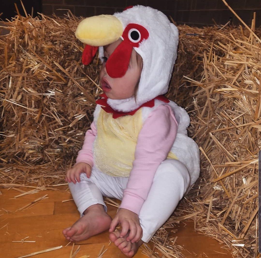 Toddler Rooster Halloween Costume 12-18months