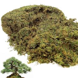 Large Capacity Fake Moss for Potted Plants, Artificial Natrual Moss for Fake  Plants Indoor, Moss for Home & Office Decor, DIY Crafts, Forest Moss for  Sale in Los Angeles, CA - OfferUp