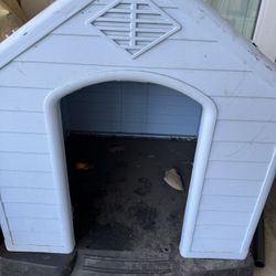 Blue Dog House 
