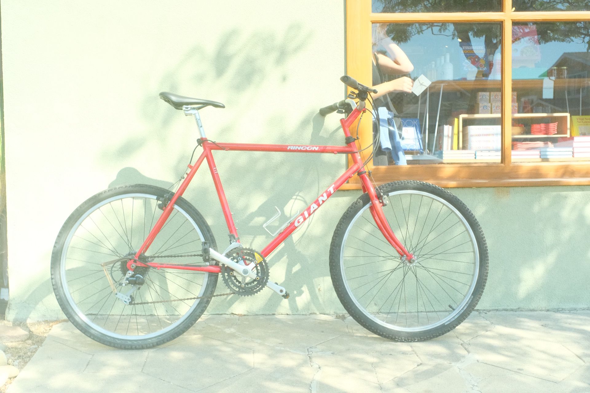 Retro Mountain Bike Red Large