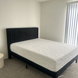 Brand New Queen Size Bed & Bedframe 