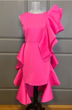 Hot Pink Ruffle Dress 2X