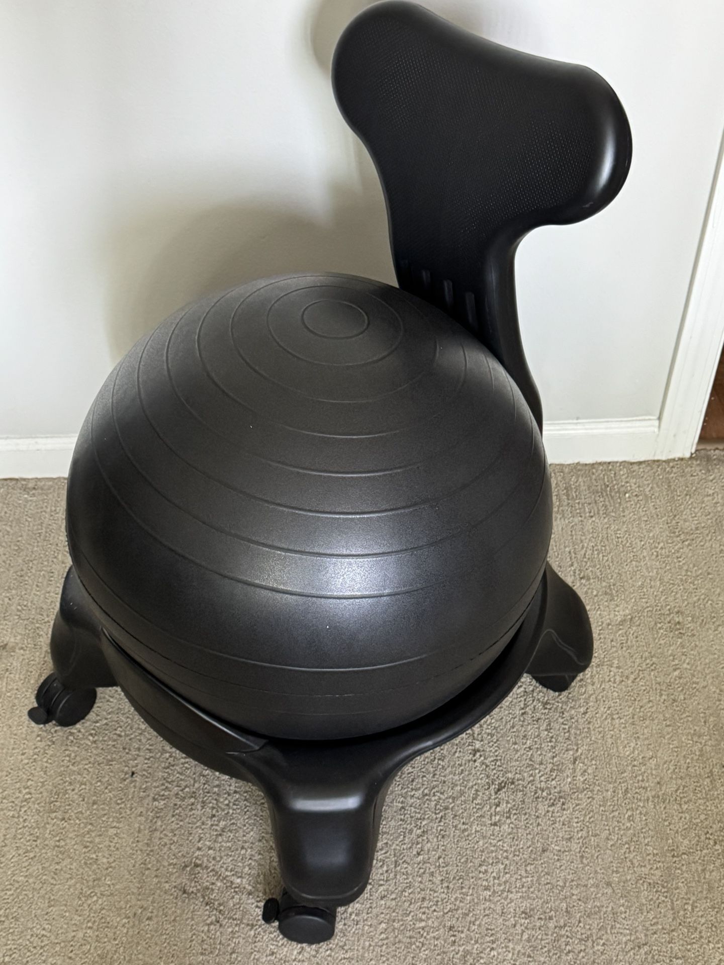 Exercise Ball Chair
