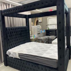 BRAND NEW IN THE BOX