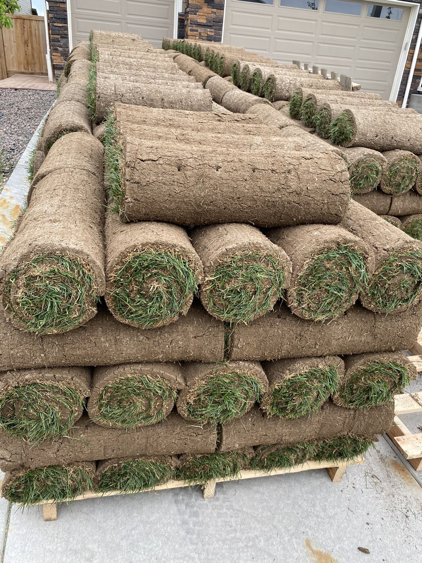 Fresh Sod, Landscaping