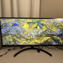 Computer Screen - Ultra Wide LG 34WL550 Screen