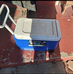 Igloo Cooler 38 quart