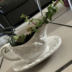 Ceramic Gravy Pot Arrangement of Succulent 