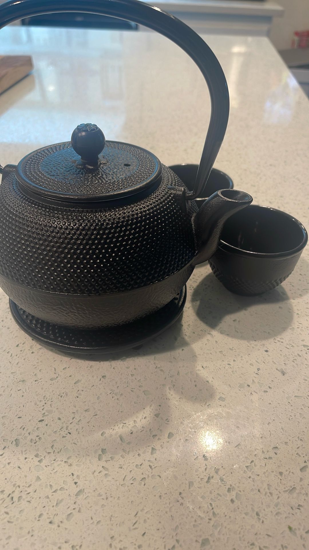 Japanese Cast Iron Tea Kettle