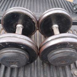 Pair Of 50 Lb Pro Style Dumbbells  W Hex Handle Grips- 100 Lbs Total Weights