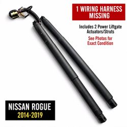 Nissan Rogue Power Liftgate Actuators 2014-2019
