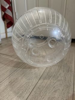 Hamster/chinchilla/rat excercise ball 13in