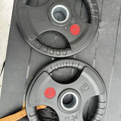 (2) 25lb Barbell Plates 