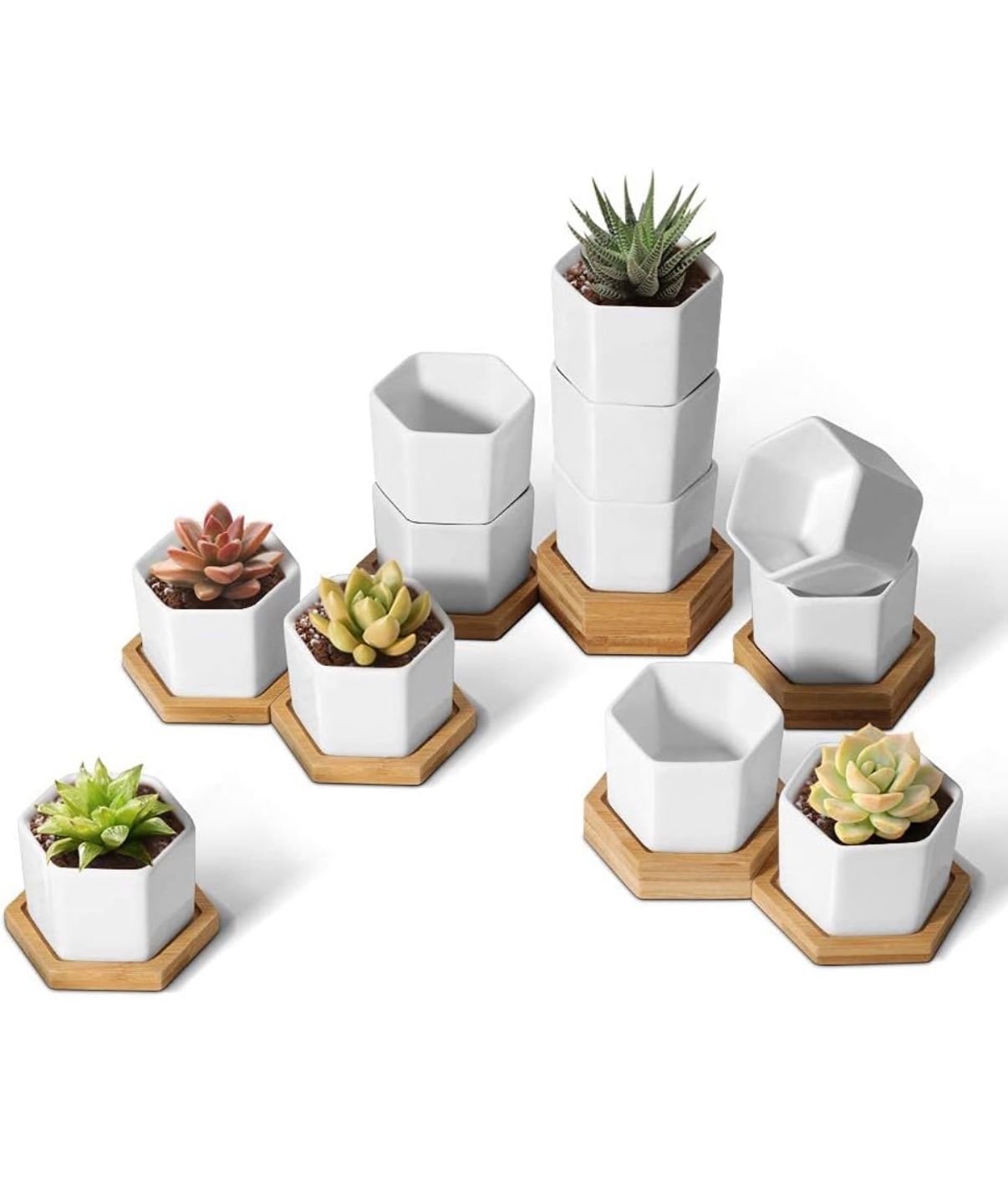 T4U Small White Succulent Planter Pots with Bamboo Tray Hexagon Set of 12, Geometric Ceramic Cactus Plant Holder, Plant Gifts for Gardener Women Cowor