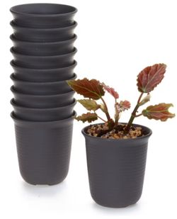 10 Plant Pots-2.5 Inch