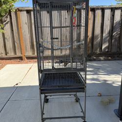 Bird Cage