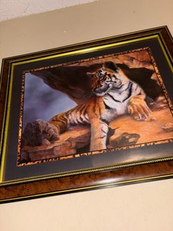 Tiger laying down frame