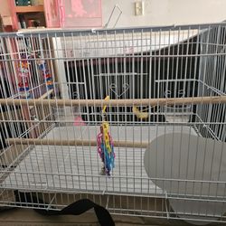 Bird Cage