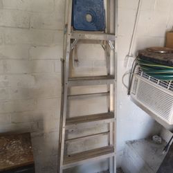 6 Ft Ladder