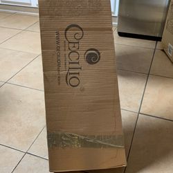 Cecilio Electric Violin