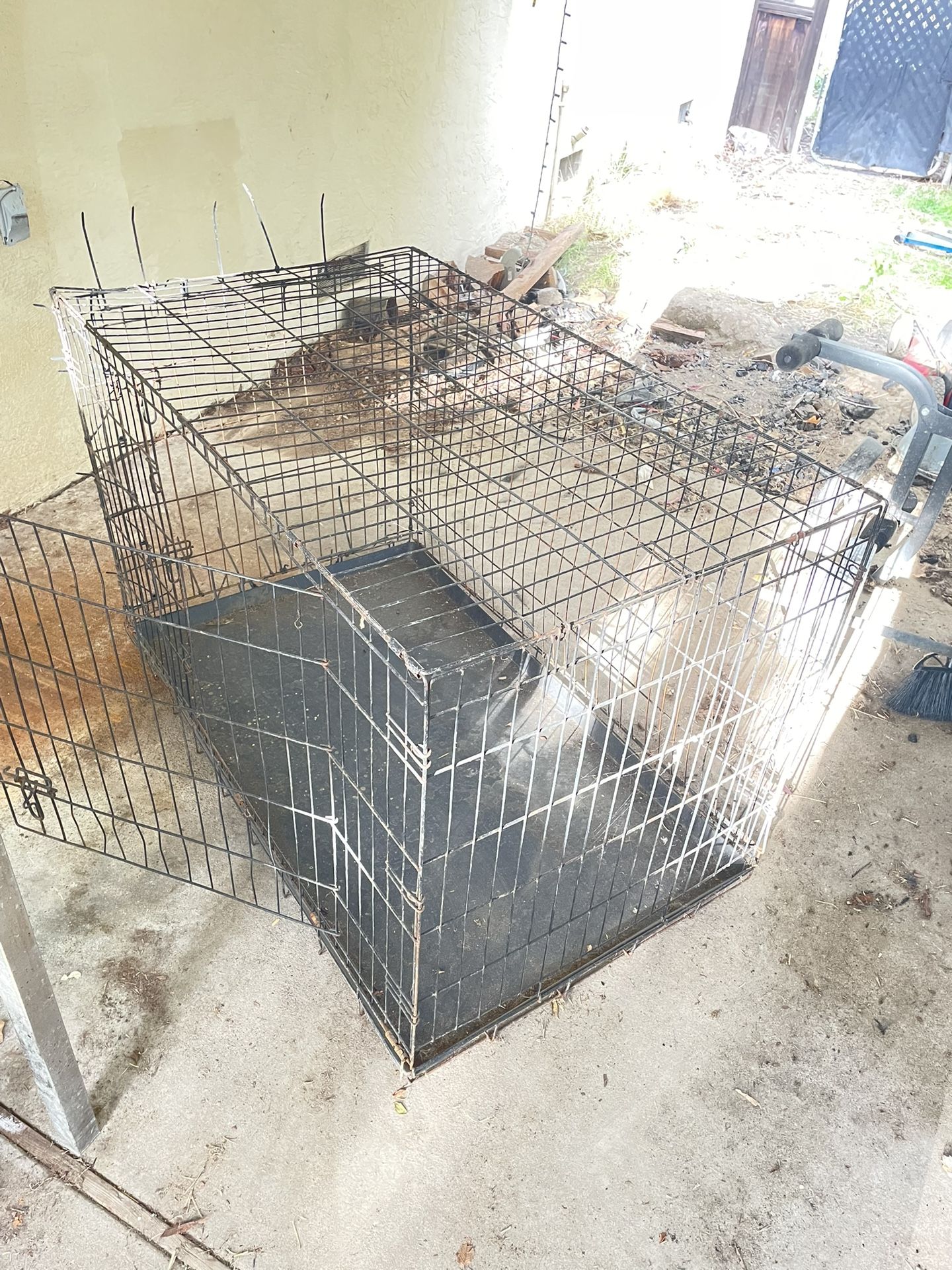 Dog Kennel
